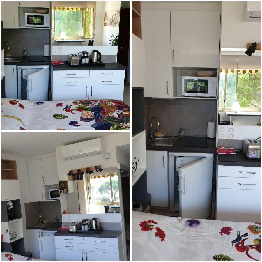 Garden&beach sea view apartment Cannes Mandelieu Buitenkant foto